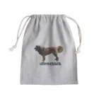 HONEY-Qのレオンベルガー  Mini Drawstring Bag