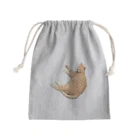 R/Rのねこのちゃー丸 Mini Drawstring Bag