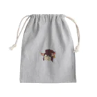 本日も晴天なりの緋縉 Mini Drawstring Bag