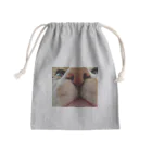 ねむたいこちぴらのおーちゃん Mini Drawstring Bag