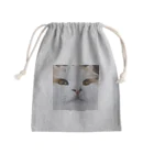 hinata_nekoのなにか入れてもいいよ。 Mini Drawstring Bag