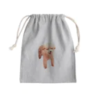 ぶぅちょろ🐶🐻🧡のにこにこめいちゃん🐣 Mini Drawstring Bag