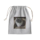 小圷のうちの猫 Mini Drawstring Bag