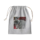 小圷のうちの猫 Mini Drawstring Bag