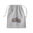 モリスタのストニャン Mini Drawstring Bag
