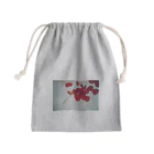 めだかのｵｺﾉﾐのｱｶ Mini Drawstring Bag