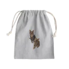 Sukochatoraのトラ猫兄弟 Mini Drawstring Bag