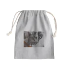 猫のサラちゃんのサラちゃん2 Mini Drawstring Bag