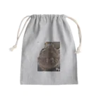 KokkotonakamatatiのOctodon　でーちゃん Mini Drawstring Bag