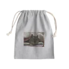 デグーのデン🐭コテツの寝起きデグー Mini Drawstring Bag