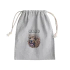 よっしぃのharu Mini Drawstring Bag