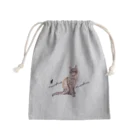 Ａｔｅｌｉｅｒ　Ｈｅｕｒｅｕｘのパステル💗ねこねこ　ライムくん Mini Drawstring Bag