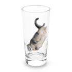 城の3月17日の落ちてる猫です Long Sized Water Glass :front