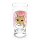 縁-yukari-のみかん Long Sized Water Glass :front