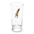 tanikumama_yの飛び込むゴールデン・レトリーバー(子犬) Long Sized Water Glass :front