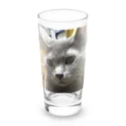 あこの実家の猫 Long Sized Water Glass :front