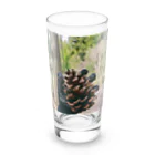 ViViの松ぼっくり正方形 Long Sized Water Glass :front