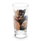 結社黒猫の猫LOVE Long Sized Water Glass :front