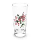 フルツの10/1 誕生花 「モミジアオイ」 Long Sized Water Glass :front