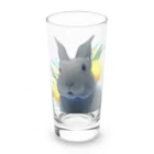 Mountain-and-Valleyのミニレッキスのゆずくん Long Sized Water Glass :front