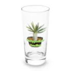 momoのPachypodium Gracilius Long Sized Water Glass :front