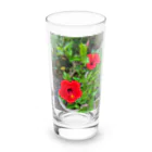 東綬のハイビスカス🌺ペア Long Sized Water Glass :front