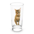 ろべのむぎちゃんグッズ Long Sized Water Glass :front