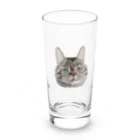 カナタ　フタバのキジトラ柄の猫 Long Sized Water Glass :front