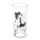 犬甘ちゃんの杜のコリーのメリちゃん Long Sized Water Glass :front