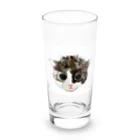 保護猫茶トラ兄弟LIFEの杏ちゃん Long Sized Water Glass :front