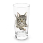 縁-yukari-の虎鉄 Long Sized Water Glass :front