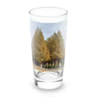 トロールショップの紅葉の季節の並木道 Long Sized Water Glass :front