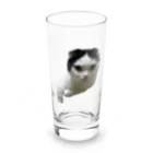 しゅり坊の真ん中分け　ちょび Long Sized Water Glass :front