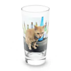 acobi'sの酒猫 Long Sized Water Glass :front