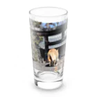 Laylandのねことじんじゃ Long Sized Water Glass :front