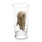 茶トラねこずのあくび猫のシロ Long Sized Water Glass :front