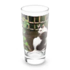 travelohayuの振り返り美猫図 Long Sized Water Glass :front