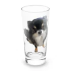 ちわわのりんちゃんのちわわのりんちゃん Long Sized Water Glass :front