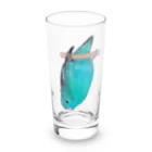 森図鑑の[森図鑑] サザナミインコ水色 Long Sized Water Glass :front