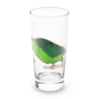 森図鑑の[森図鑑] サザナミインコ緑色 Long Sized Water Glass :front