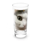 わが家の猫山さん。の猫山さん。はるがきた。 Long Sized Water Glass :front