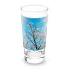 堕天使ストアの桜 Long Sized Water Glass :front