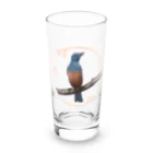 やちよ｜リアル鳥イラストのイソヒヨドリさん♂ Long Sized Water Glass :front