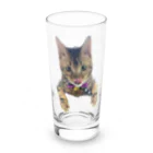 いくママ 猫との毎日のペロリンおむすび Long Sized Water Glass :front