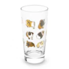 Lichtmuhleの2023モルモットカレンダー大集合01 Long Sized Water Glass :front