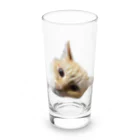 chestuntのにゃんきち Long Sized Water Glass :front