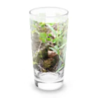 tizujonoboukenの自然豊か Long Sized Water Glass :front