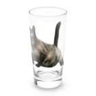 QDAのSLY Long Sized Water Glass :front