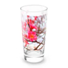 dandelionの紅梅 Long Sized Water Glass :front