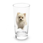 hiropokoのポメラニアンのペー Long Sized Water Glass :front